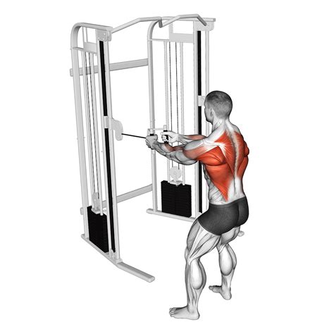 Dual Row T-Bar Row Machine Seated Cable Row Machine.