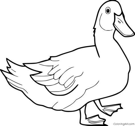 Duck Coloring Pages For Adults