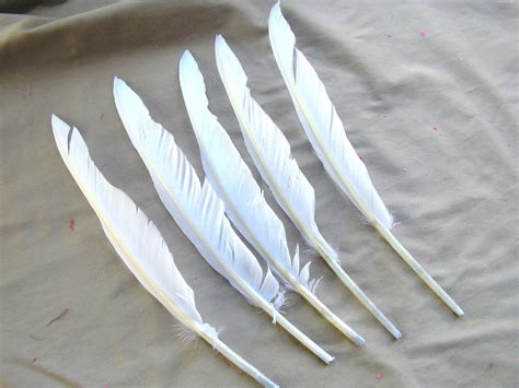 Duck Feather Quill - Etsy