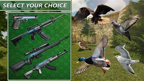 Duck Hunt 3D Bird Shooting S APK Download for Android 