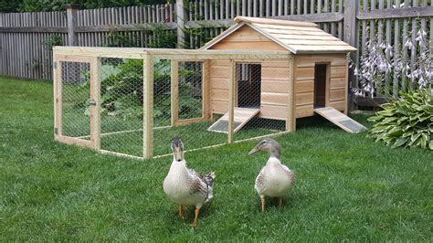 I am going to bring you 37 duck house plans that are sure to inspire you. Here are the great duck house designs: 1. The Cobb Duck House Plans. I know the picture shows geese in this house instead of ducks, but the author did state that a small cobb house would work great for chickens, geese, and ducks.