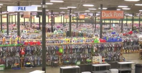 Knoxville's Premier Children's Consignment Event. Duck-Duck-Goose Knoxville's premier children's consignment event Spring / Summer Event March 29 th - April 1 st, 2023 Wed - Fri 10 - 8, Sat 10 - 3; Half-Price Friday, Duck Dash Saturday. Skip to content. Home; Consignors.. 