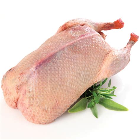 Duck meat. In the US, duck meat is mostly sold as a novelty or for making ethnic cuisine such as in French or Chinese cooking. However, in many other parts of the world, duck is considered an excellent choice for regular meat supply. Here’s why. 1. Excellent Foragers. Ducks are excellent foragers, particularly in wetland areas. 