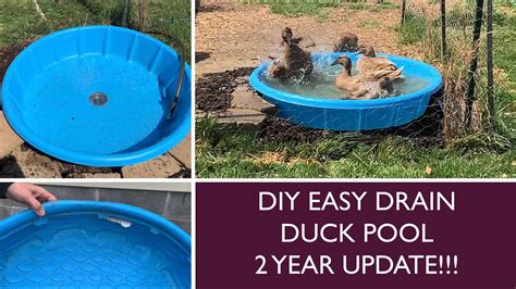 Jun 15, 2020 · Come along with us as we build our own easy-drain duck pool! Check out our 2 year update video as well and don’t forget to subscribe and share: https://yout... . 
