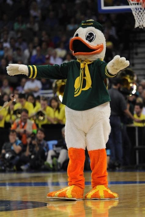 Oregon Ducks on DuckTerritory. 1,295 likes · 1 talking about this. DuckTerritory features complete inside coverage of Oregon Ducks football, basketball and recruiting.