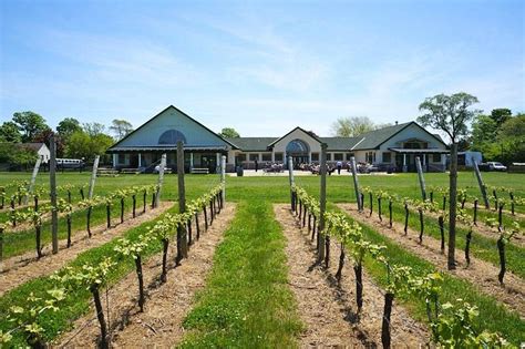 Duck walk vineyard. Long Island's largest and oldest family-owned vineyard and winery, Pindar Vineyards, is approaching its 45th anniversary. ... Another Damianos manages the Duck Walk Vineyards, ... 