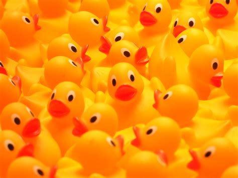Duckies. Aside from soap, shampoo, and towels, there may be no more pervasive an item in a kid-occupied bathtub than the rubber duck, a generic aquatic toy that usually squeaks, sometimes … 