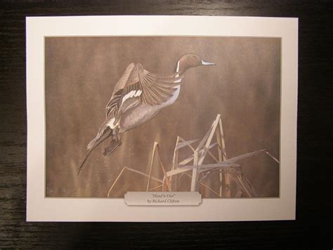 Ducks unlimited print of the year 2019. .  ...