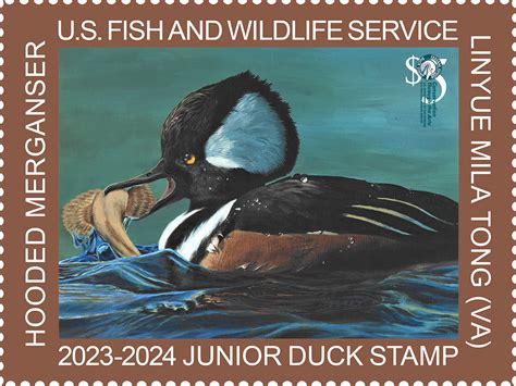 Volunteer. Get involved, have fun and make a lasting impact. People just like you across the country volunteer for DU Varsity (high school), Ducks University (collegiate) and local fundraising chapters, all while supporting DU's conservation mission. Join our team of nearly 60,000 DU volunteers and become a leader in wetlands conservation!