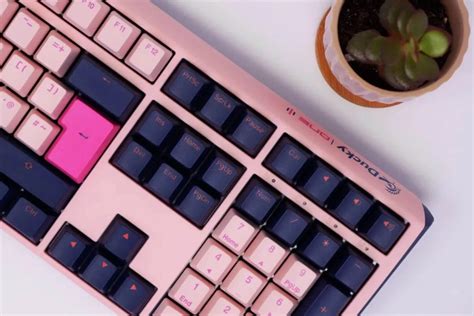 Ducky mac keycaps. .  <a href=https://www.alessa-art.nl/9bgy7/good-cam...