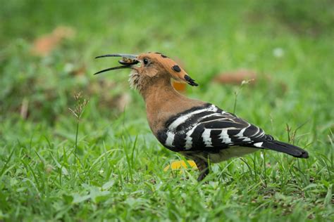 🍑 PORN Dudka Onlyfans Leak