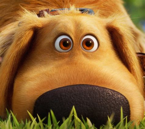 Dug from up. Things To Know About Dug from up. 