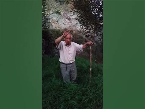 Dugunyazi Halı ve Koltuk Yıkama