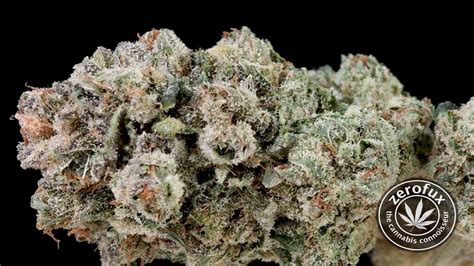 Dulce De Uva is a hybrid weed strain made from a genetic cross between Grape Pie and OG Kush. This strain has a sweet and fruity flavor that resembles a grape candy with a hint of vanilla. Dulce ...
