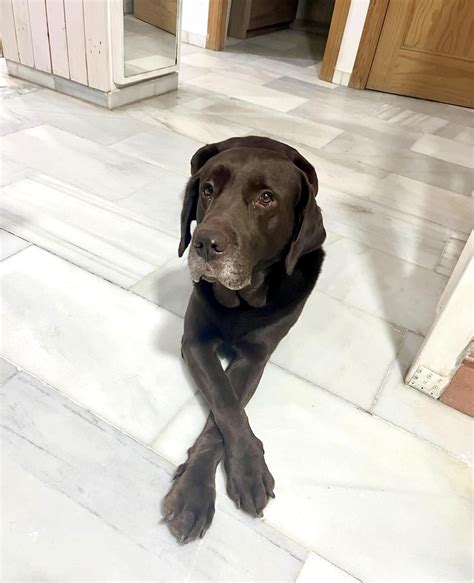 🍑 Dulcepinkhair Onlyfans Leaked [PPV]