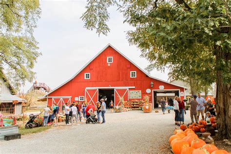 Details: Dull’s Pumpkin Harvest is open every year around the middle of September – October and Dull’s Tree Farm is open the day after Thanksgiving – December 21. Most employees will only work 20 days during Dull’s Pumpkin Harvest and 5 days during Christmas Tree season. There are more hours available for Wreath Barn employees during .... 