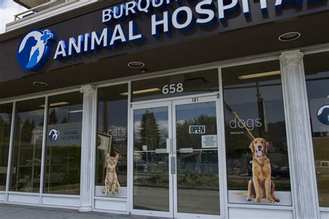 Duluth animal hospital. North Shore Veterinary Hospital. North. Shore Veterinary Hospital. North Shore Veterinary Hospital is a full Service, AAHA-Certified, small animal veterinary hospital with an emphasis on patient advocacy and client service. In addition to our full service hospital we also offer house calls with North Shore Veterinary Hospital Mobile … 