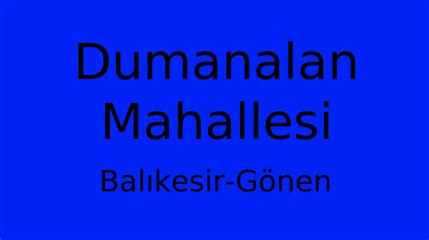 Dumanalan Halı ve Koltuk Yıkama