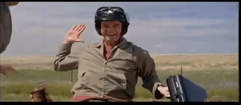 Dumb and dumber high five gif. Explore GIFs. Explore and share the best Dumb-and-dumber GIFs and most popular animated GIFs here on GIPHY. Find Funny GIFs, Cute GIFs, Reaction GIFs and more. 