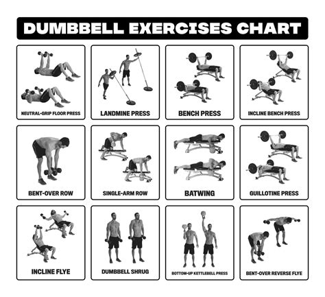 Dumbbell+Exercise+Chart+PDF Dumbbell Workout Routine, Bowflex Workout