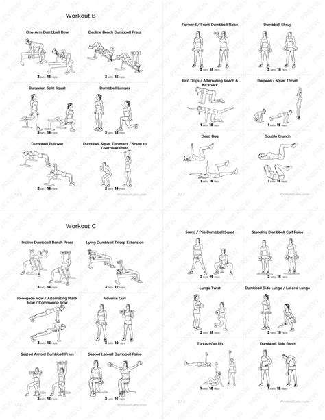 Dumbbell Workout Schedule Pdf EOUA Blog