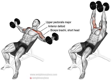Dumbbell flyes. Things To Know About Dumbbell flyes. 