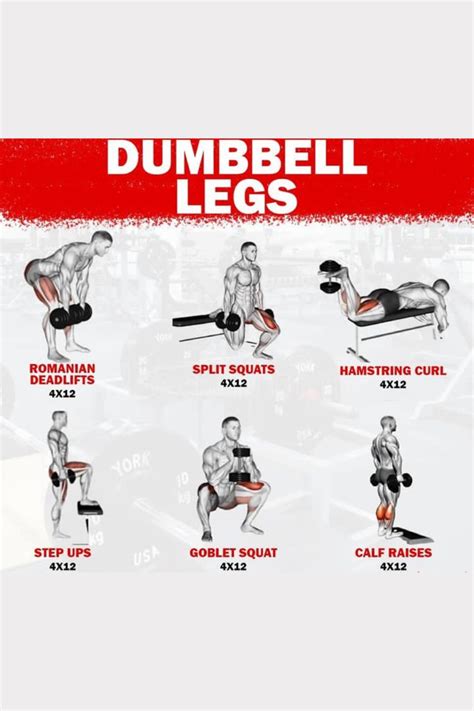 Dumbbell leg workout. Things To Know About Dumbbell leg workout. 