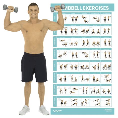 Dumbbell workout at home. Here’s a quick summary of the bench and dumbbell workout program. Program Duration: 8-10 weeks. Sessions/week: 5 days a week. Duration/session: 45-60 minutes. Split Type: Hybrid Split. Workout Goal: Build muscle and improve shape. Target Gender: Male and Female. Difficulty Level: Beginner to Intermediate. 