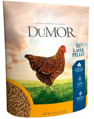 Dumor layer pellets. Producer's Pride 16% Mini-Pellet Layer Chicken Feed is a complete formula for egg-producing poultry, with the necessary vitamins and minerals needed to support productive hens. ... but this feed is decent enough and I haven't found a cheaper feed at TSC yet. I just bought a bag of DuMor organic, so I will have something to … 