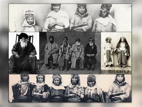 Dumuklu Halı ve Koltuk Yıkama