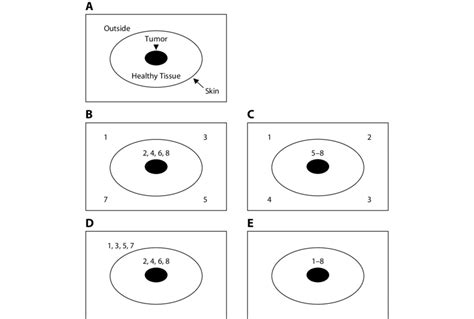 Duncker radiation problem solution.  The test was created by Gestalt psychologis...
