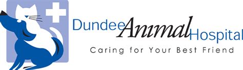 Dundee animal hospital. Things To Know About Dundee animal hospital. 