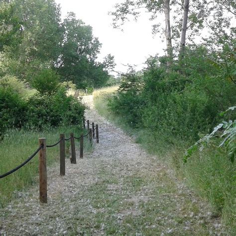 Dune Fossili di Massenzatica (Mesola): All You Need to Know