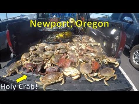 Dungeness Crab Limits (Massive) Boat Crabbing Newport, Oregon …