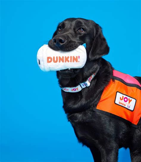 Nov 2, 2023 · The holiday menu at Dunkin' has returned for the 2023 season -- but there's something else brewing to help children in need and get tails wagging. ... BARK and Dunkin's dog toy collab has raised ... . Dunkin dog toys 2023