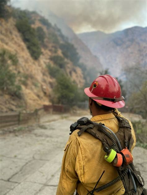 Duo captured on speculation of purposefully commencing Paris wildfires.