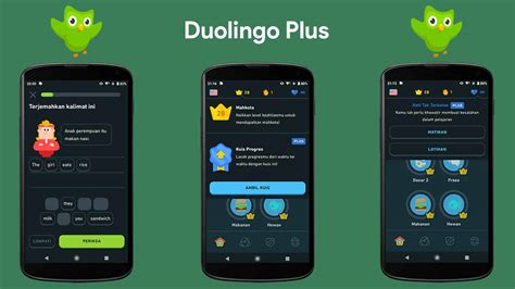 Duolingo Plus Gave Fans of Free App a Cost Worth Paying