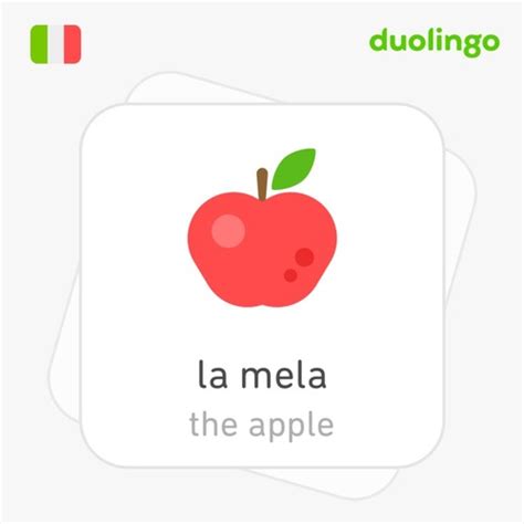 codini.rgarabwor.edu.pl. 