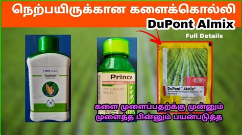 Dupont products for paddy. .  ...