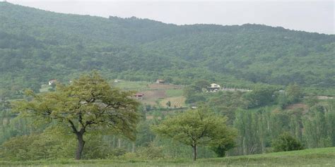 Durabey Halı ve Koltuk Yıkama