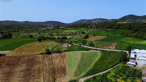 Duracali Halı ve Koltuk Yıkama