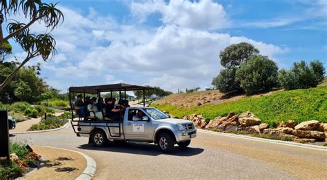 Durbanville Game Drive & Picnic Cape Town