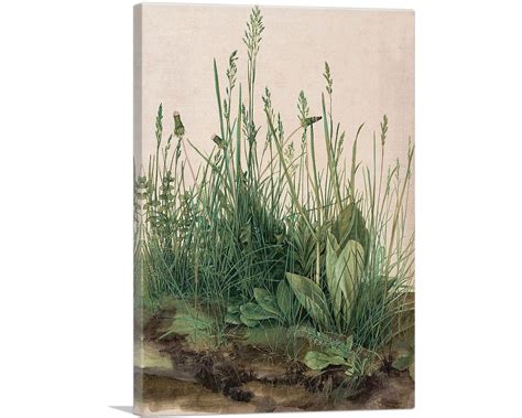 Durer Piece of Turf - Etsy