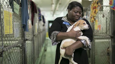 Durham county animal shelter. Things To Know About Durham county animal shelter. 
