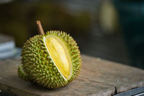 Durian durian. Things To Know About Durian durian. 