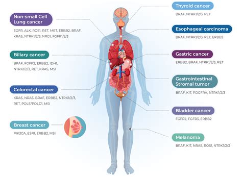 Duron's two decades of cancer