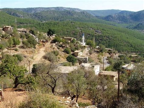 Duruhan Halı ve Koltuk Yıkama