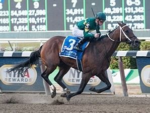 Dust and Diamonds - Horse Racing Nation