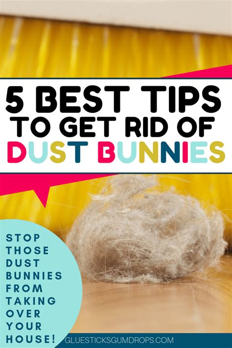 Dust bunnies cleaning. Ever feel like the dust bunnies in your home are reproducing like…bunnies? Dust bunnies are generally comprised of hair, dirt, pollen, and inanimate dust mite matter—all things your home is better without. Knowing where they are is the first step in getting rid of them. 1. Under Carpets. 2. In The Corners. 3. Under And Behind Furniture. 4. 