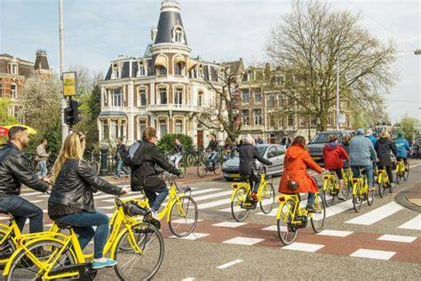 Dutch Cyclists Push Back Against 12mph Speed Limit Trial (2026)